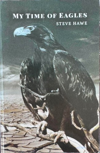 Steve Hawe - My Time Of Eagles