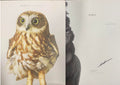 Leila Jeffreys - Birdland (Hardcover)