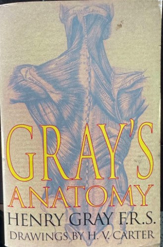 Henry Gray / H.V. Carter - Gray's Anatomy