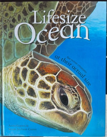Anita Ganeri / Stuart Jackson-Carter - Lifesize Ocean (Hardcover)