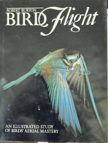 Robert Burton - Bird Flight