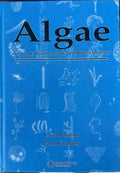 Laura Barsanti / Paolo Gualtieri - Algae : Anatomy, Biochemistry & Biotechnology (Hardcover)