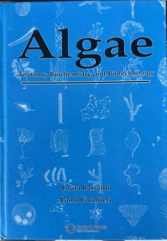 Laura Barsanti / Paolo Gualtieri - Algae : Anatomy, Biochemistry & Biotechnology (Hardcover)