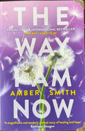 Amber Smith - The Way I Am Now