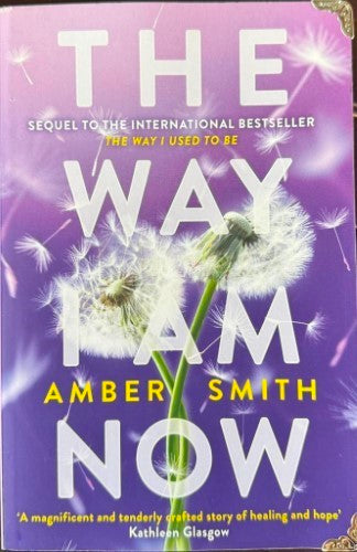 Amber Smith - The Way I Am Now