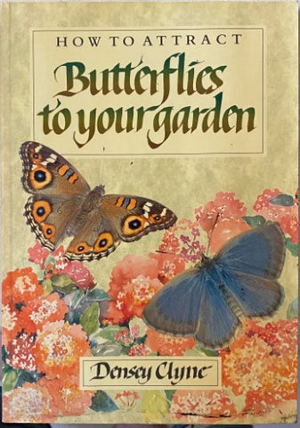 Daist Clyne - How To Attract Butterflies To Your Garden