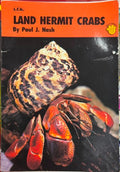 Paul Nash - Land Hermit Crabs