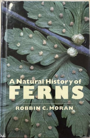 Robbin Moran - A Natural History Of Ferns (Hardcover)