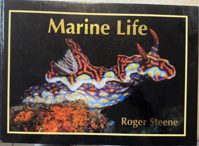 Roger Steene - Marine Life (Hardcover)