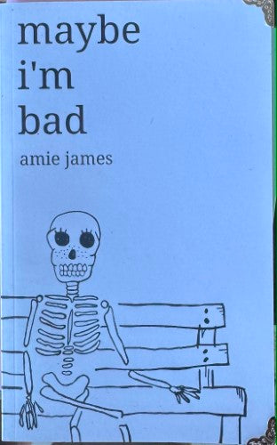 Amie James - Maybe I'm Bad