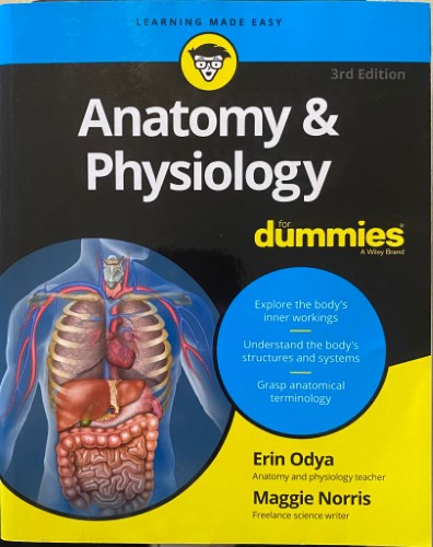 Erin Odya / Maggie Norris - Anatomy & Psychology For Dummies