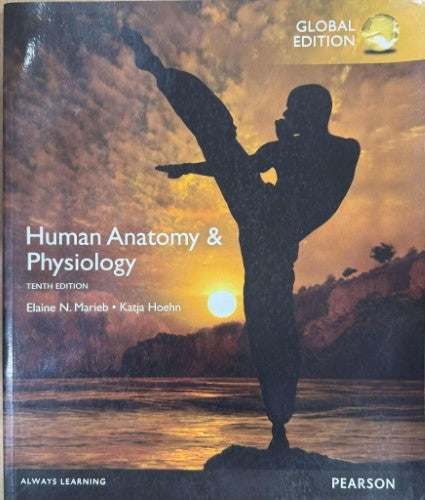 Elaine Marieb / Katja Hoehn - Human Anatomy & Physiology (Tenth Edn)