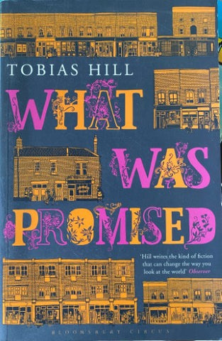 Tobias Hill - What Was Promised