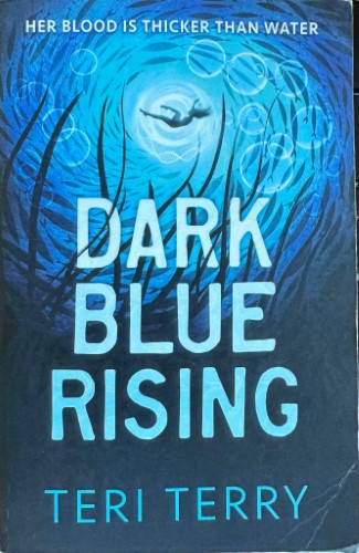 Teri Terry - Dark Blue Rising