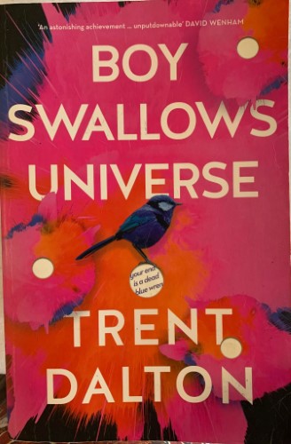 Trent Dalton - Boy Swallows Universe