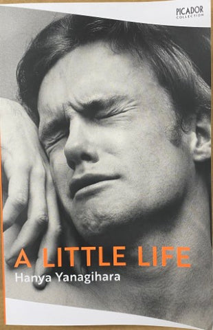 Hanya Yanagihara - A Little Life