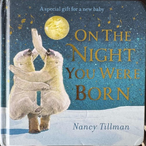 Nancy Tillman - On The Night You Were Born