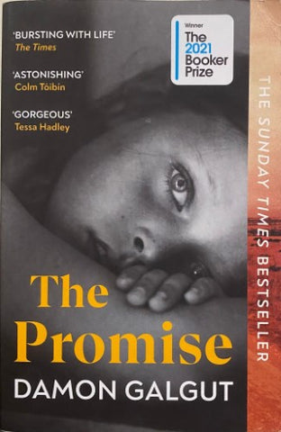 Damon Galgut - The Promise