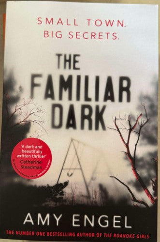 Amy Engel - The Familiar Dark