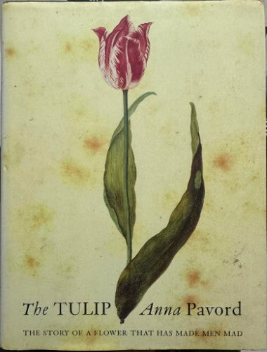 Anna Pavord - The Tulip : The Story Of A Flower That Has Made Men Mad (Hardcover)