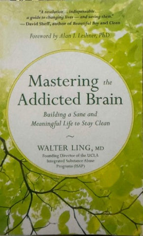 Walter Ling - Mastering The Addicted Brain