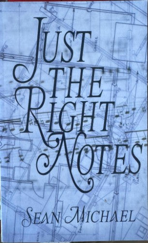 Sean Michael - Just The Right Notes