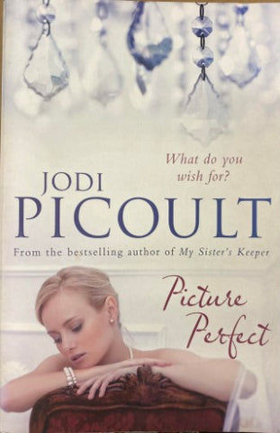 Jodi Picoult - Picture Perfect