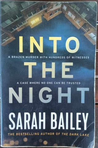 Sarah Bailey - Into The Night