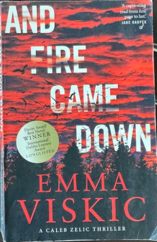 Emma Viskic - And Fire Came Down