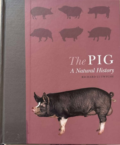 Richard Lutwyche - The Pig : A Natural History (Hardcover)