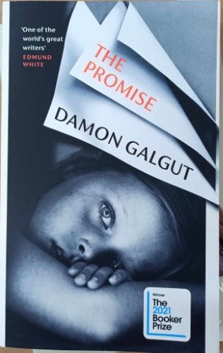 Damon Galgut - The Promise