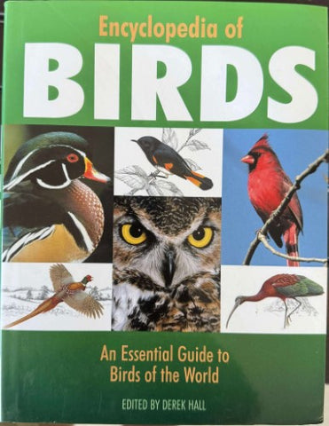 Derek Hall - Encyclopedia Of Birds (Hardcover)