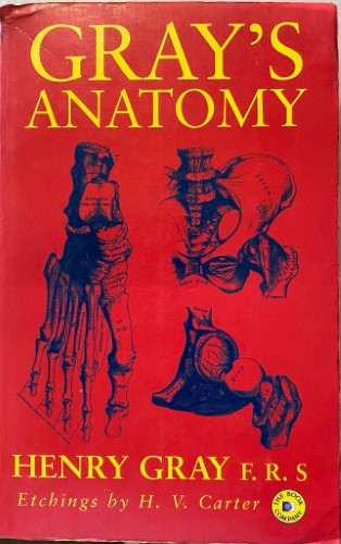 Henry Gray - Gray's Anatomy