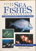Rudie Kuiter - Guide To Sea Fishes Of Australia