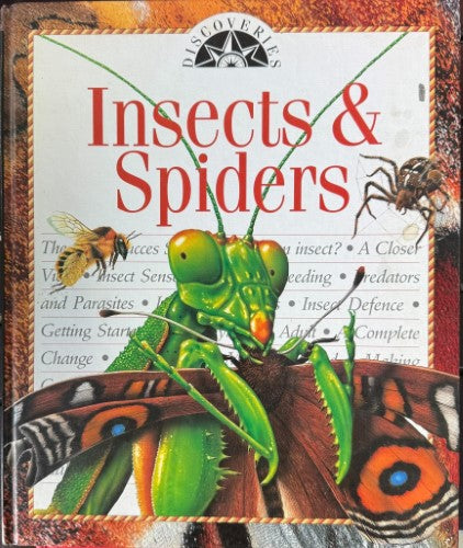 Discoveries : Insects & Spiders (Hardcover)