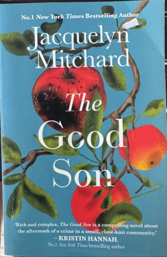 Jacqueline Mitchard - The Good Son