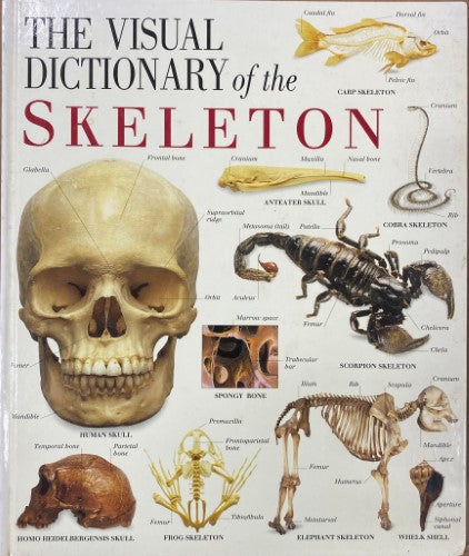 Fiona Courtney-Thompson (Editor) - The Visual Dictionary Of The Skeleton (Hardcover)