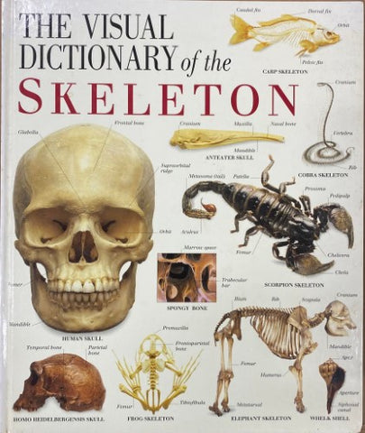 Fiona Courtney-Thompson (Editor) - The Visual Dictionary Of The Skeleton (Hardcover)