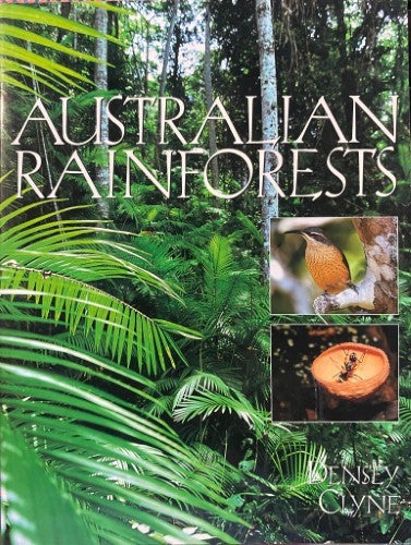 Densey Clyne - Australian Rainforests