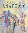 Atlas Of Anatomy