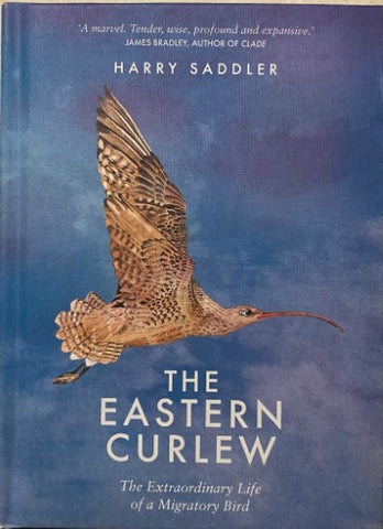 Harry Saddler - The Eastern Curlew : The Extraordinary Life of A Migratory Bird (Hardcover)