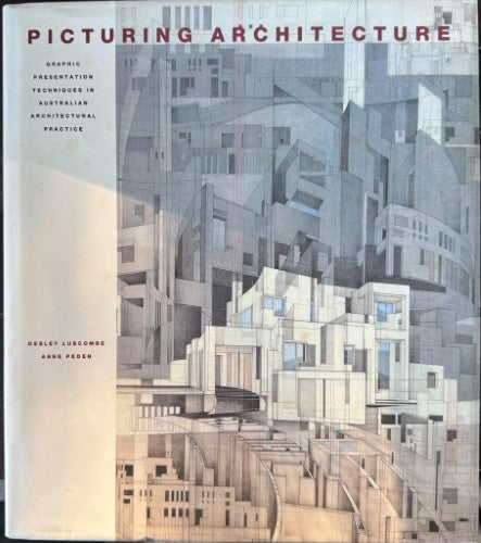 Desley Luscombe - Picturing Architecture (Hardcover)