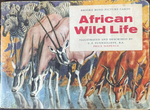 African Wild Life