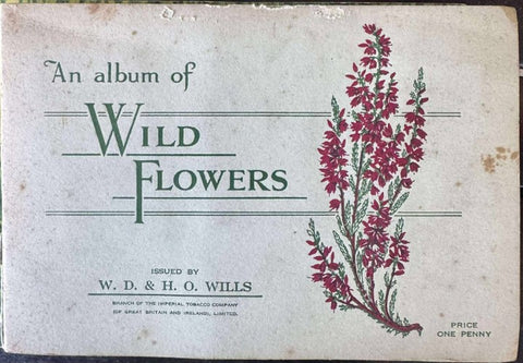 Wild Flowers