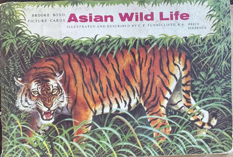 Asian Wild Life