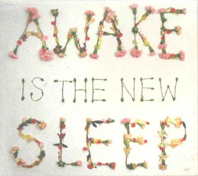 Ben Lee - Awake Is The New Sleep (CD)