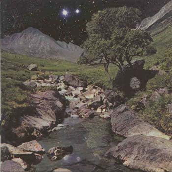 Beta Band - The Beta Band (CD)