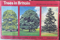 Trees In Britain
