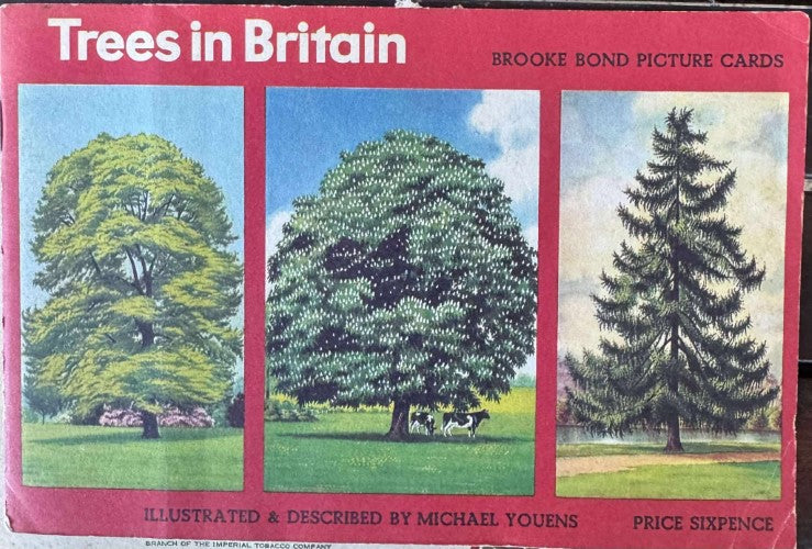 Trees In Britain