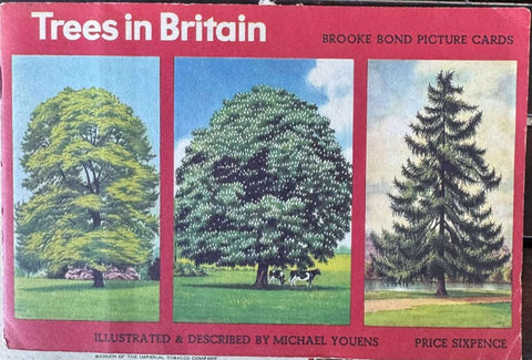 Trees In Britain